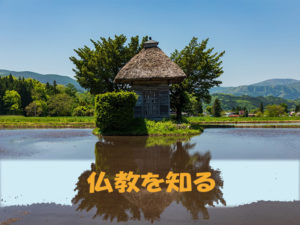 お墓を建てる前に仏教の勉強