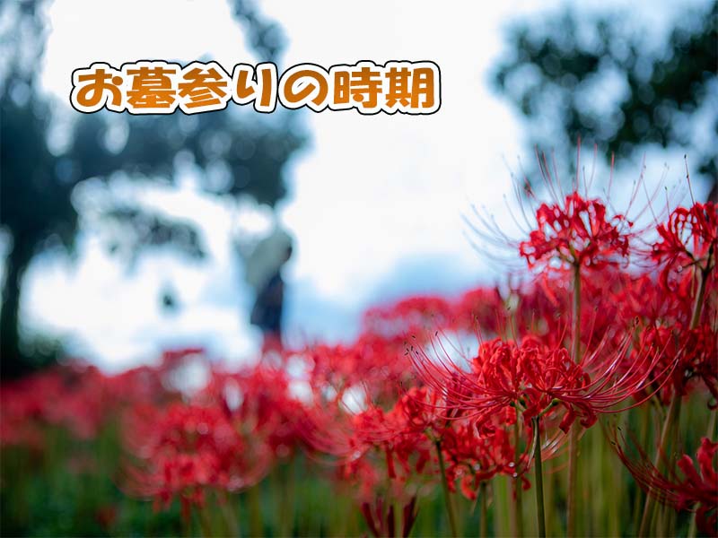 お墓参りにお花やお供えなどの必要な持ち物は 行く時期や服装と手順