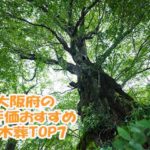 高評価でおすすめな永代供養できる樹木葬ランキング7｜大阪府編