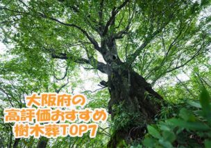 大阪府の樹木葬選びの参考に人気ランキング7