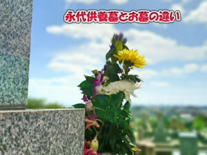 永代供養墓とお墓の違いを解説